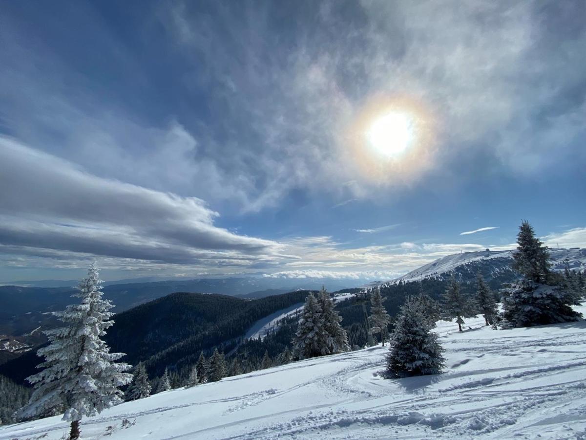 Ski & Spa Apartment S20 Milmari Resort Kopaonik Luaran gambar