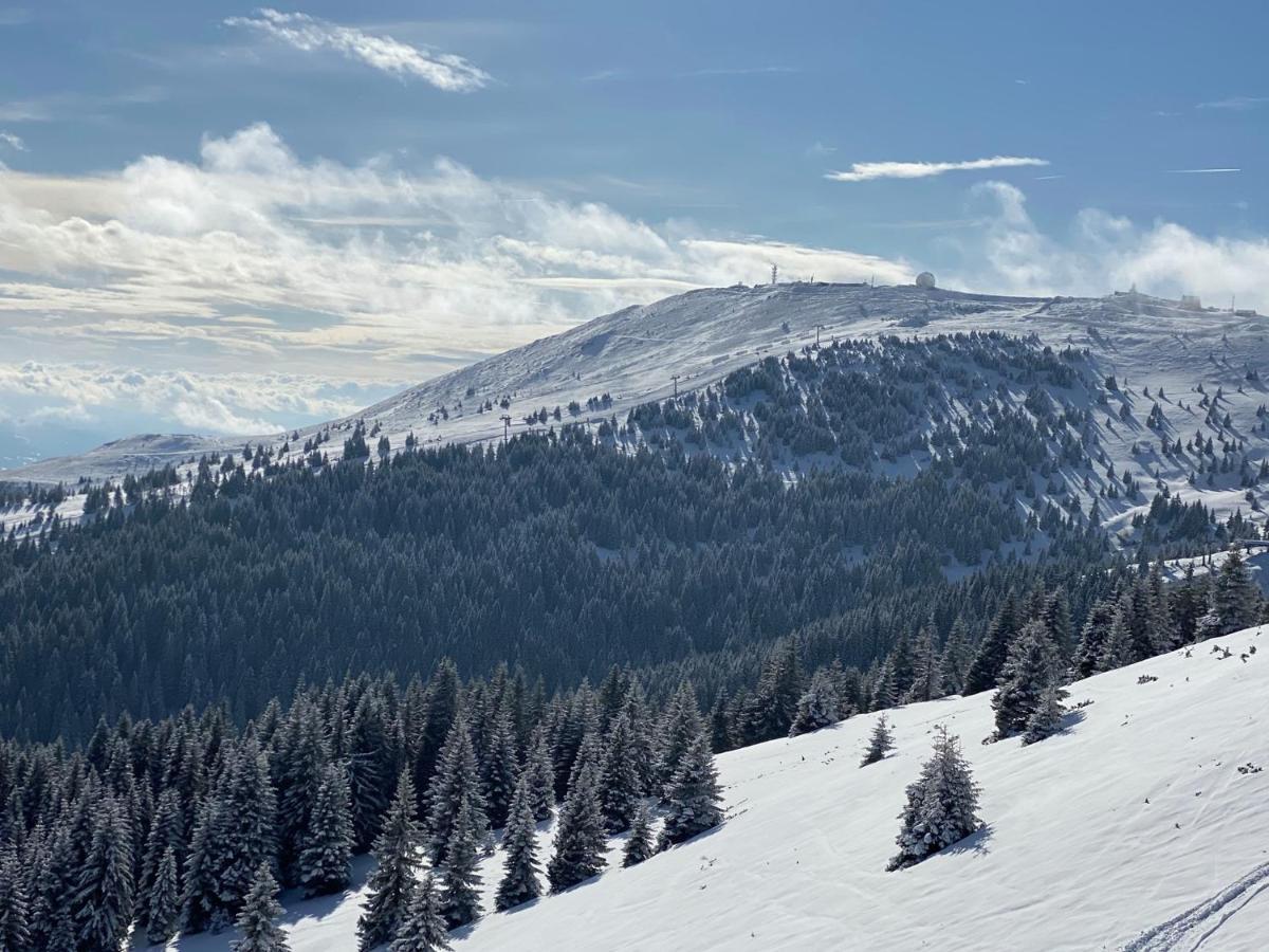 Ski & Spa Apartment S20 Milmari Resort Kopaonik Luaran gambar