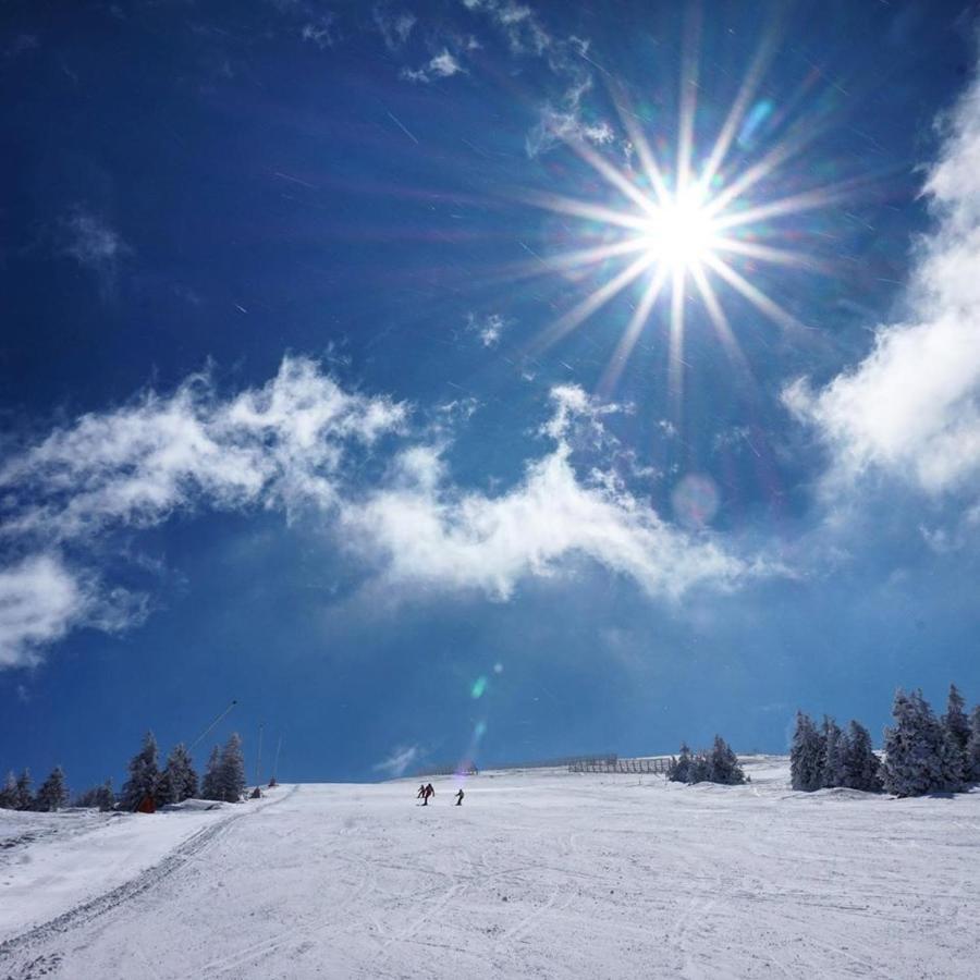 Ski & Spa Apartment S20 Milmari Resort Kopaonik Luaran gambar