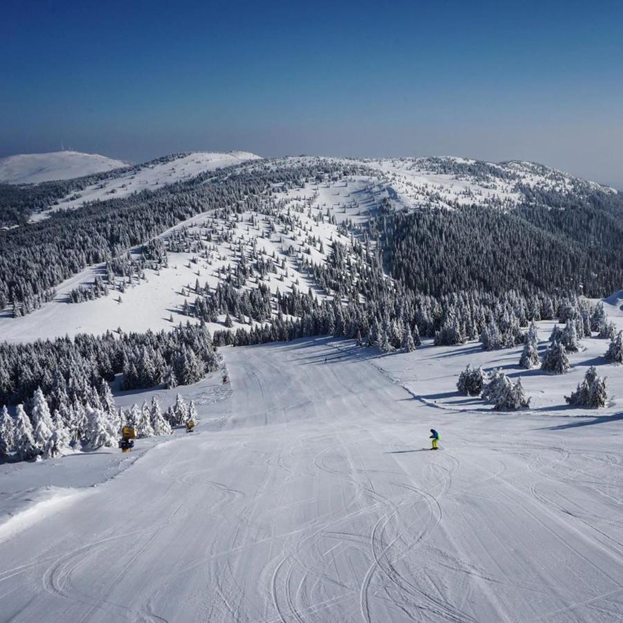 Ski & Spa Apartment S20 Milmari Resort Kopaonik Luaran gambar