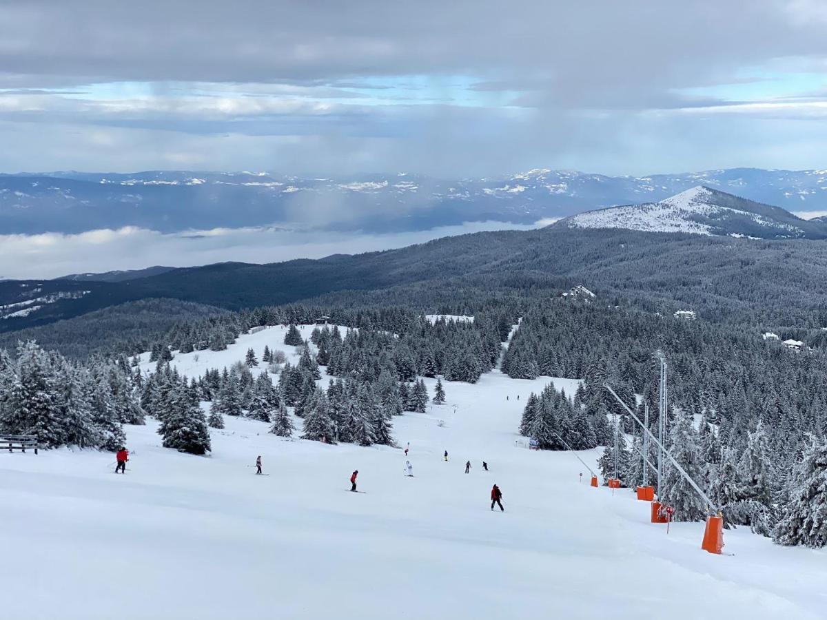 Ski & Spa Apartment S20 Milmari Resort Kopaonik Luaran gambar